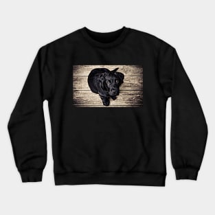 Wow! What A Beautiful Black Puppy Dog Crewneck Sweatshirt